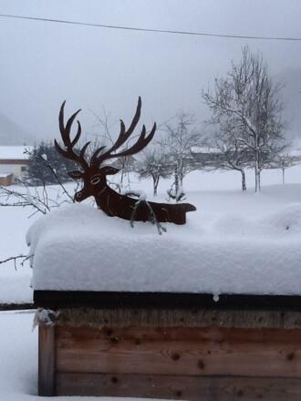 Winterbepflanzung im Hochbett