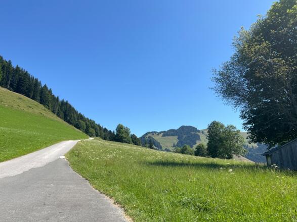 Wanderung zur Burger Alm kurz hinter Feistenau