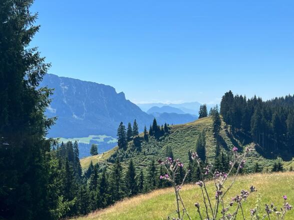 Ausblick auf den Kaiser von der Wanderung zur Burger Alm