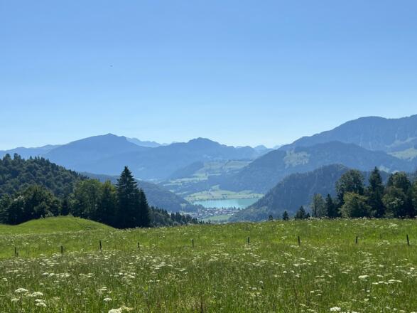 Blick zum Walchsee