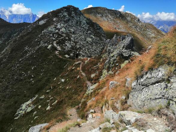 Der Übergang zur Hollbrucker Spitze...