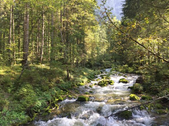 Zufluss zur Traun