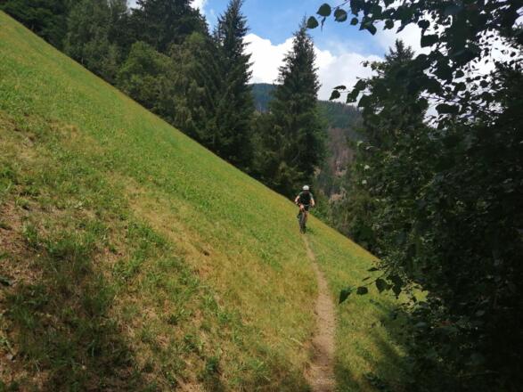 Am ruppigen Trail vor Arnbach...