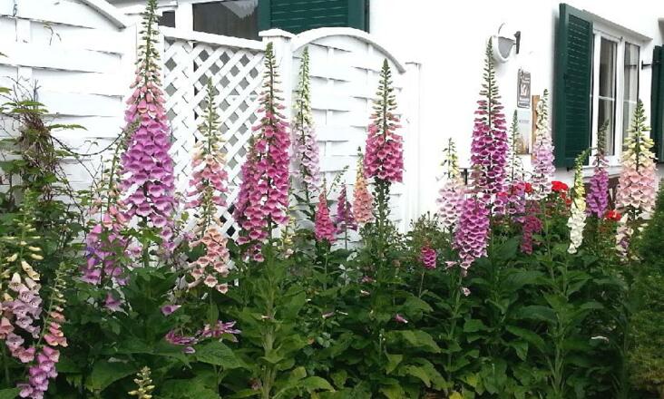 Landessieger beim Blumenschmuckwettbewerb 2015