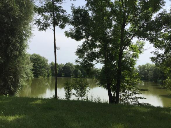 Weiher bei Pfarrerwöhr