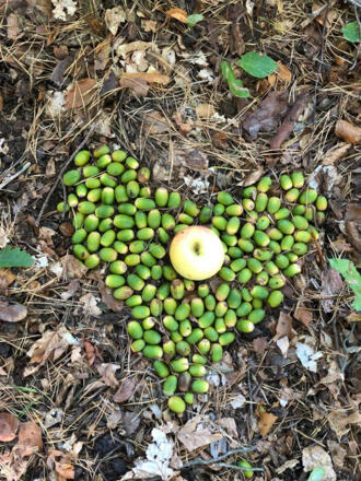 Hohenkammer_Waldbaden_Herz aus Eicheln_web_© Claudia Müller