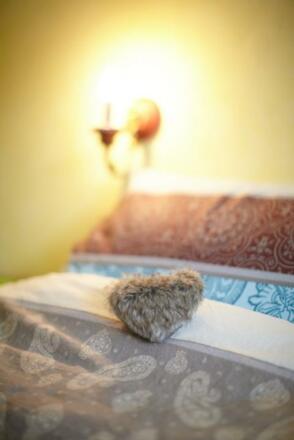 gemütliches Schlafzimmer