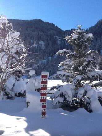 Bei uns im Garten ...immer auf dem Aktuellen Stand