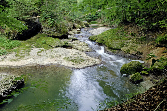Rauschende Bäche im NSG Eistobel