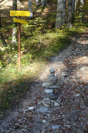 Eine Art Land Art am Wegrand