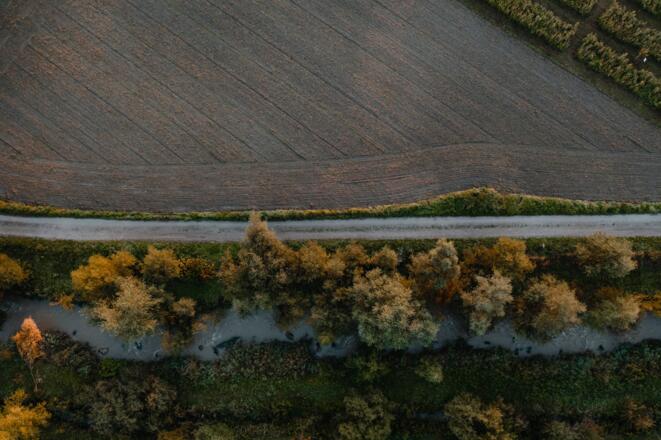 Drohnenaufnahme Aussichtsturm Naarn im Machland