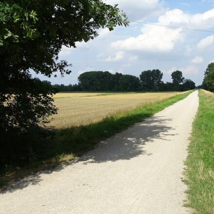 Wasserwege zwischen Kunst und Kulinarik