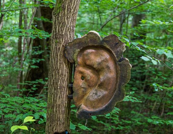 Hörauge am Klangweg zum Jexhof