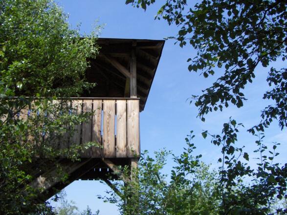 Der Aussichtsturm bietet einen schönen Blick auf das Moor.