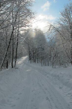 Wanderweg an der Ill
