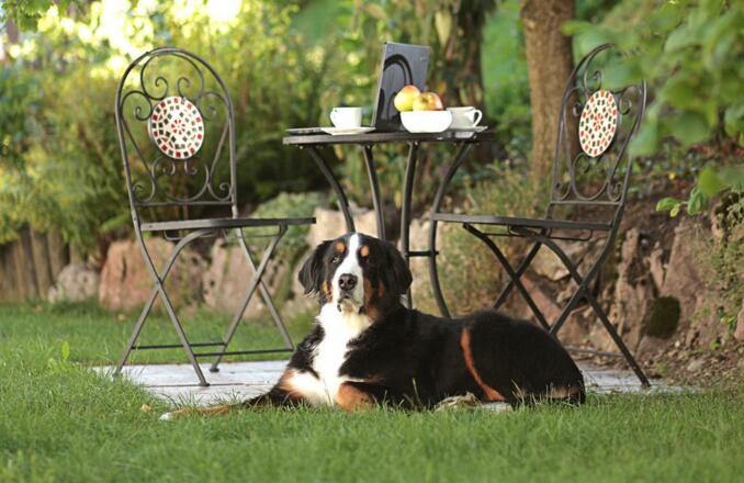 Garten