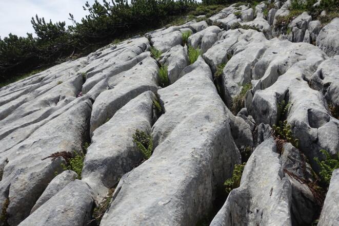 Spannende Karrenstrukturen beim Abstieg zum Mooslahnerkopf
