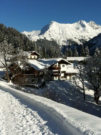 Gasthof Cafe Alpenwald Mittelberg Winter