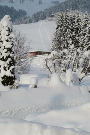 IMG_0094