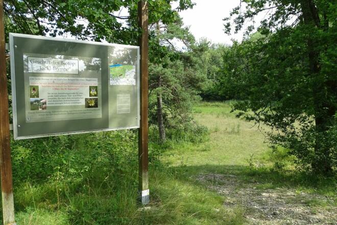 Wasserwege zwischen Kunst und Kulinarik