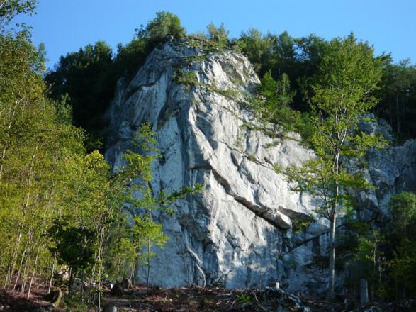 Klettergebiet Blaslmauer - Losenstein