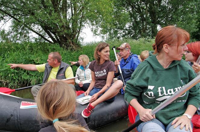 Bootssafari durch die Wildnis | Aschach