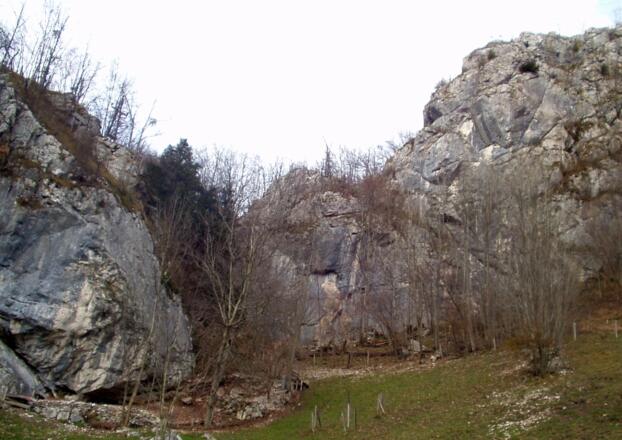 Klettergarten Steinwirt - Großraming