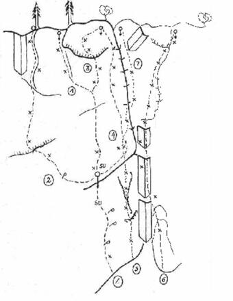 Topo Nixloch - Messino
