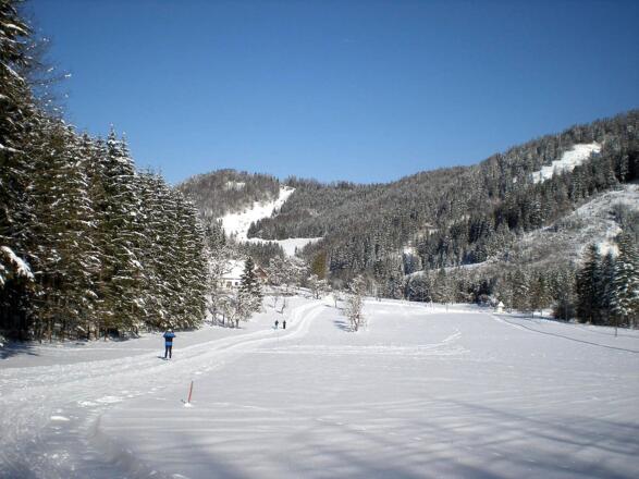 Langlaufarena Waldhütte - Weyer