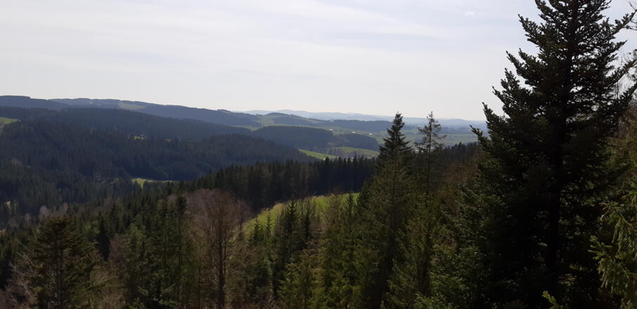 Weiterer Ausblick auf der Jankuskirche