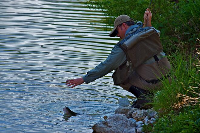 Fliegenfischer am Steyrfluss