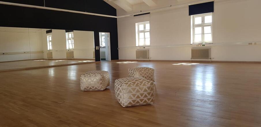 Sonnenstein Loft - Studio 1