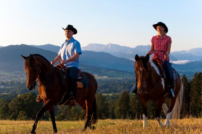 Reiten Pferdehof Auer
