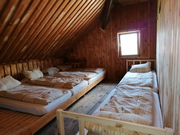 Stube 1.