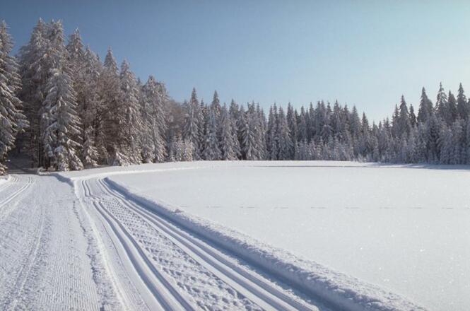 Langlaufspuren im Schnee