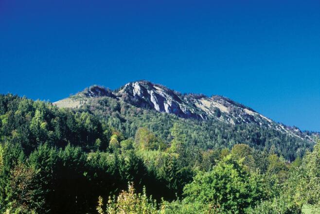Bodenwies - Schüttbauernalm