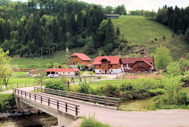 Pferde-Erlebnis-Biobauernhof Rohrauer