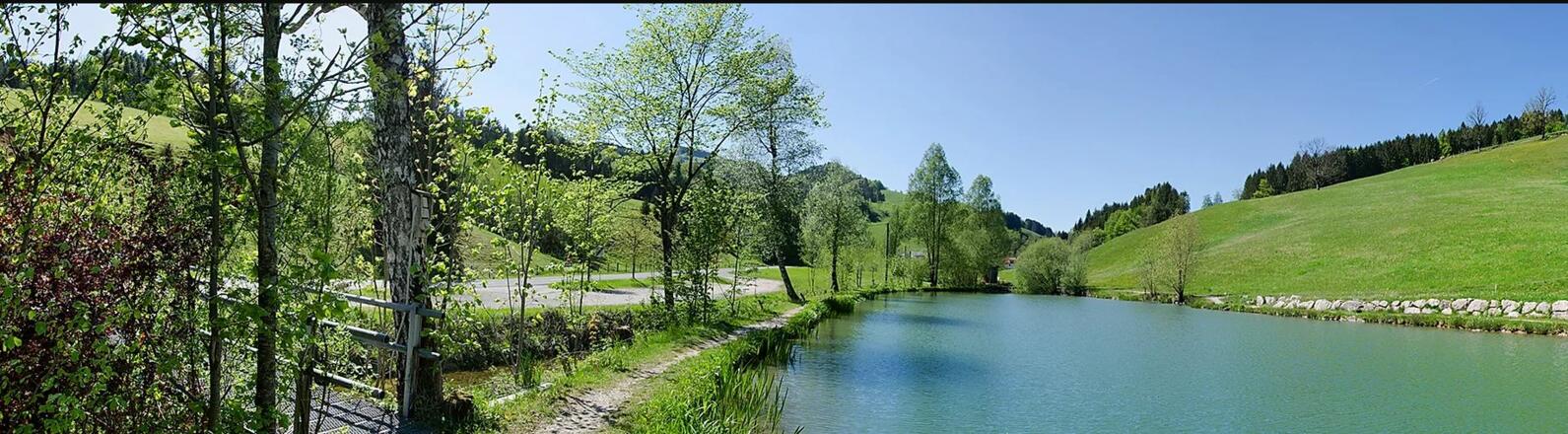Angeln am Fischteich