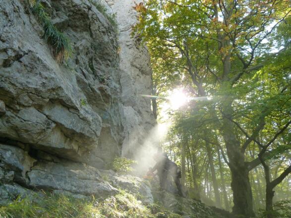 Klettergarten Nixloch - Losenstein