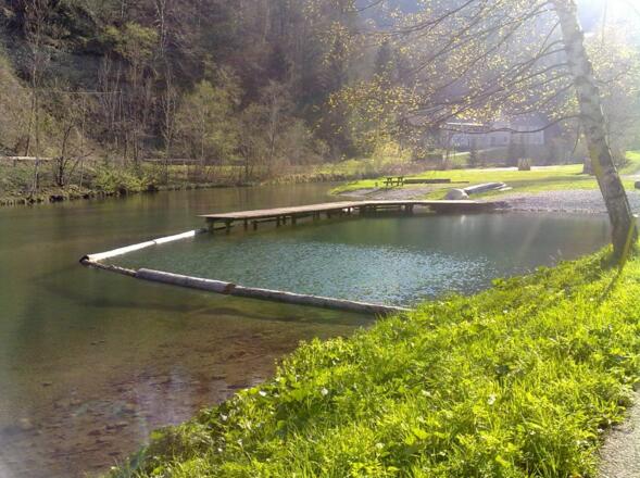 Seewiesenfest - Seewiese Kleinreifling