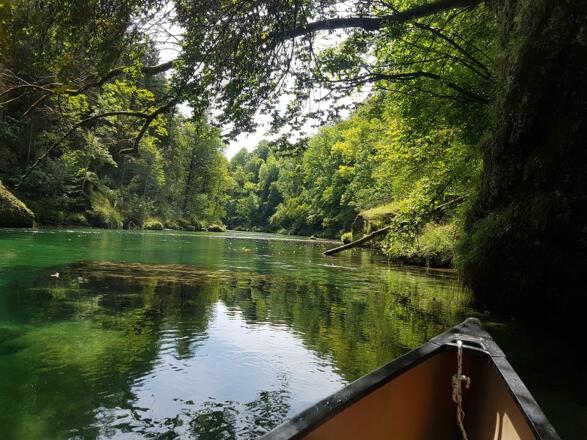 smaragdgrünes Wasser umgeben von Wald