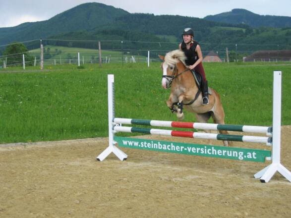Reiterhof Burghub