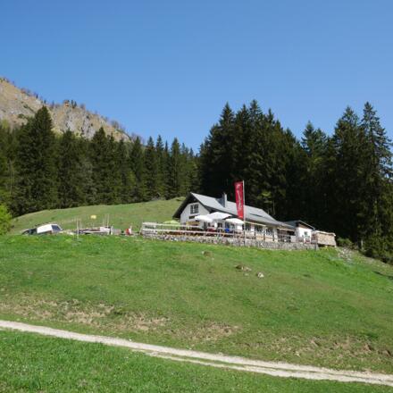 Stallburgalm - Weyer