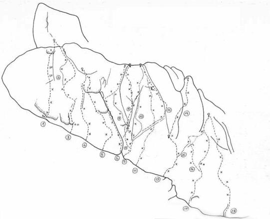 Topo Nusswand - Hauptsektor