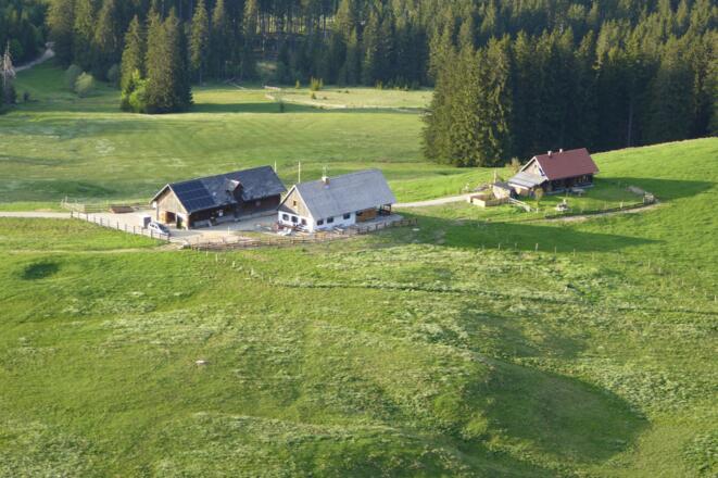 Ebenforstalm im Nationalpark Kalkalpen