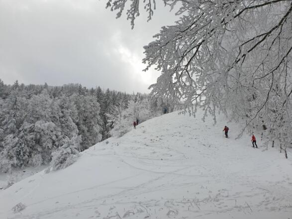 Sulzboden