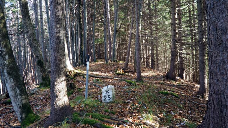 kurz weglos am Rücken zum Spitzberg 967m