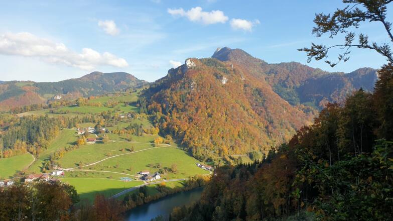Blick vom Weg 467 hinüber zum Schieferstein