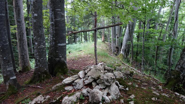 einfaches Holzkreuz am Schafkogel 739m