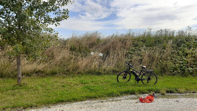 Vor Pferdehof auf die Böschung